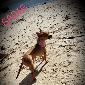 Meet your Posher, Kiana